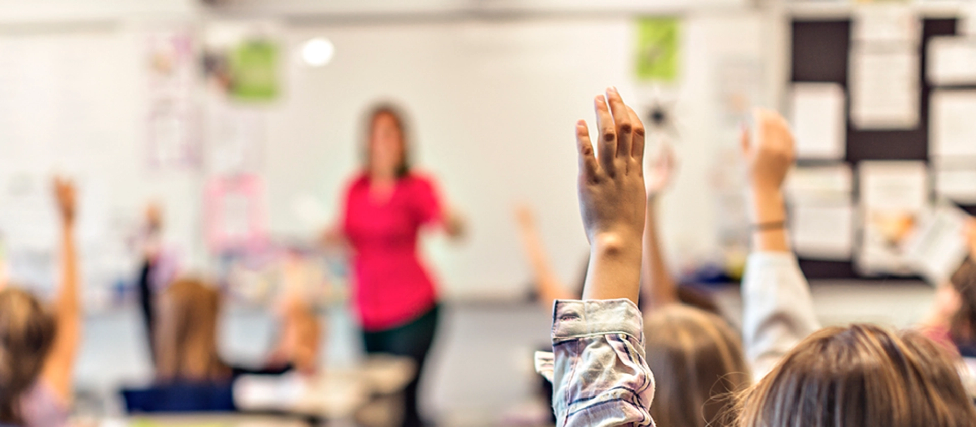 public_sector_schule