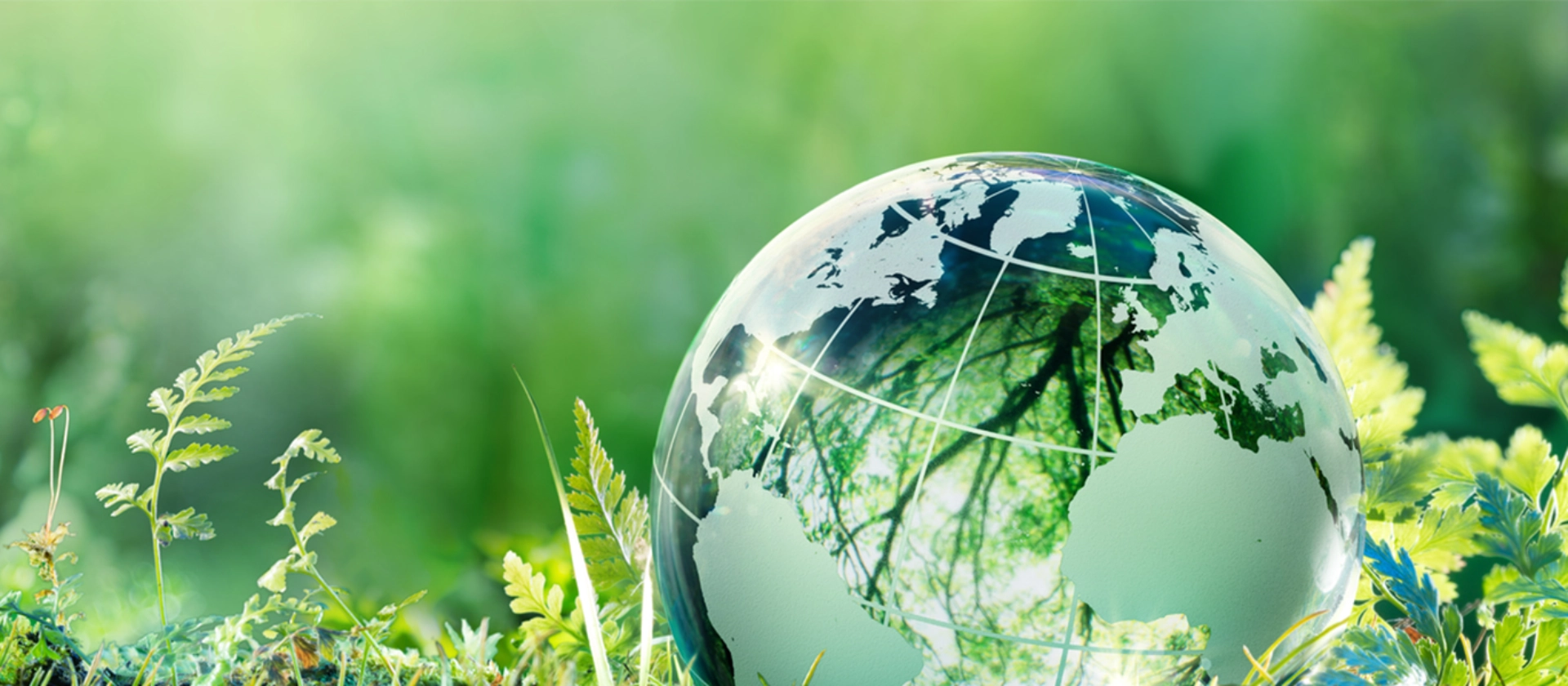 Reporting-​Pflichten Teaser