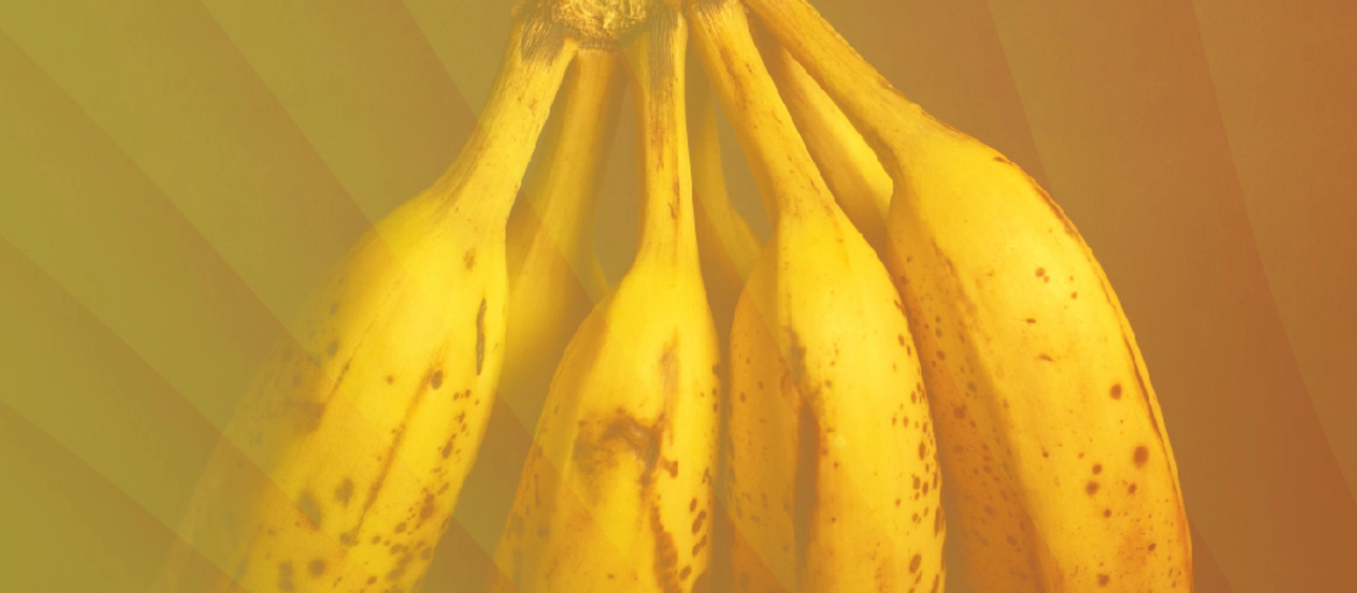 Reifegradmessung User Experience