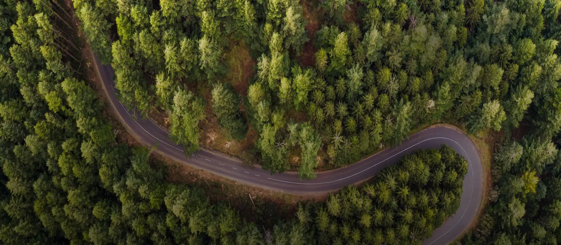 Corporate Social Responsability