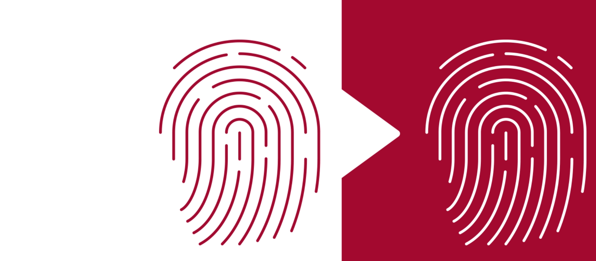 Is It A Match? Dublettenerkennung mit KI