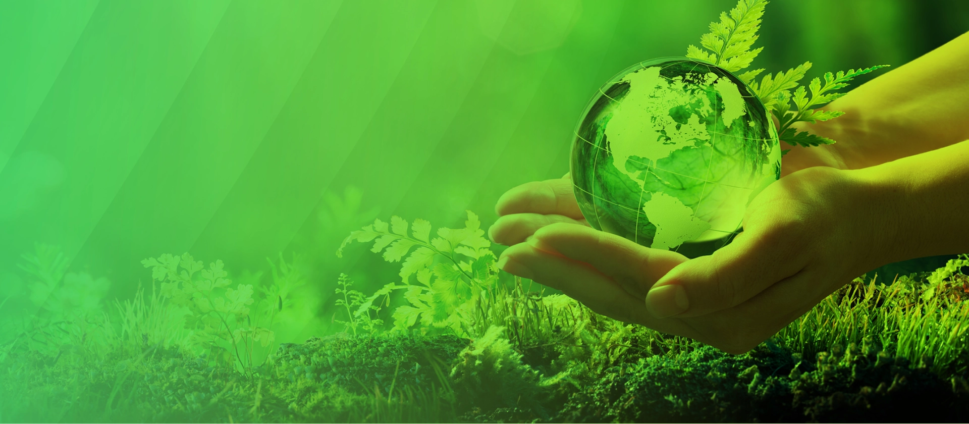 msg Sustainability Bootcamp