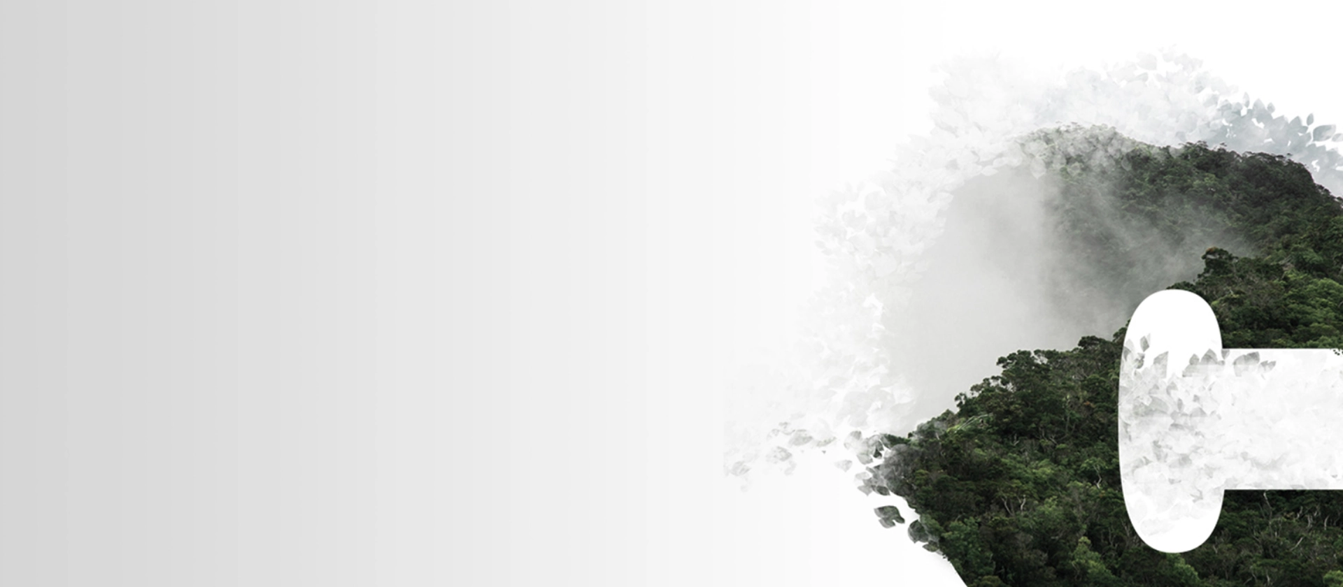 20210916_msg_claims_management_web_1600x667