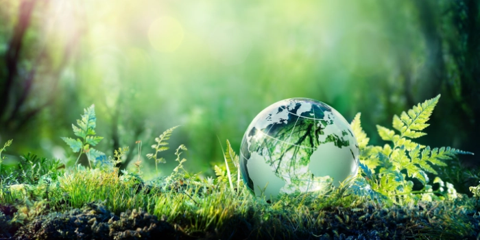 Sustainability for Insurance Hero