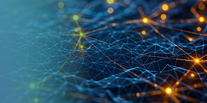 Dezentrale Ökosysteme 