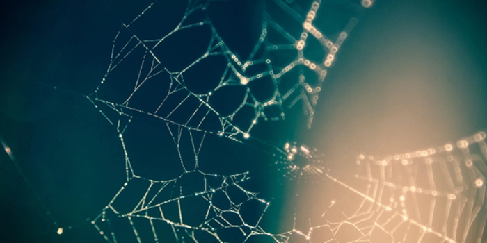 Kulturwandel Data Sharing