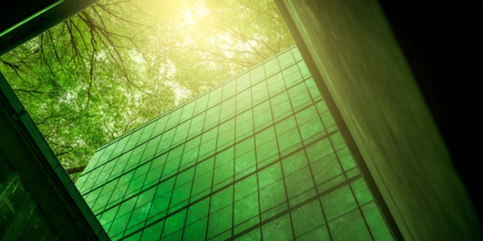 Wie die Bundesverwaltung klimaneutral wird