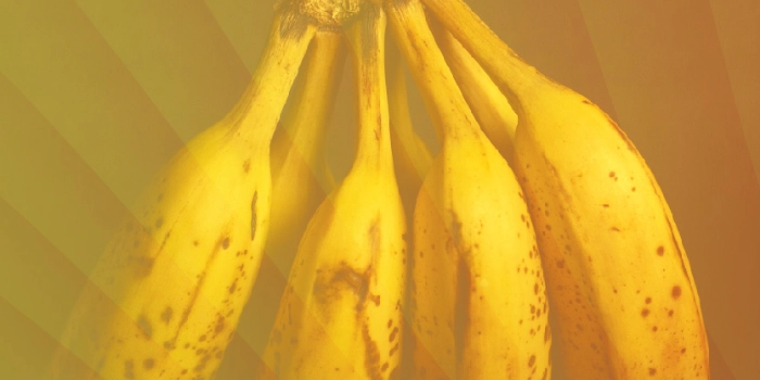 UX-​Reifegradmessung