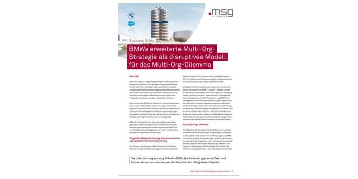 Erweiterte Multi-Org-Strategie für BMW