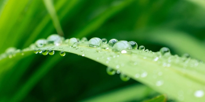 Grüne Kreditvergabe – mehr Schein als Sein?