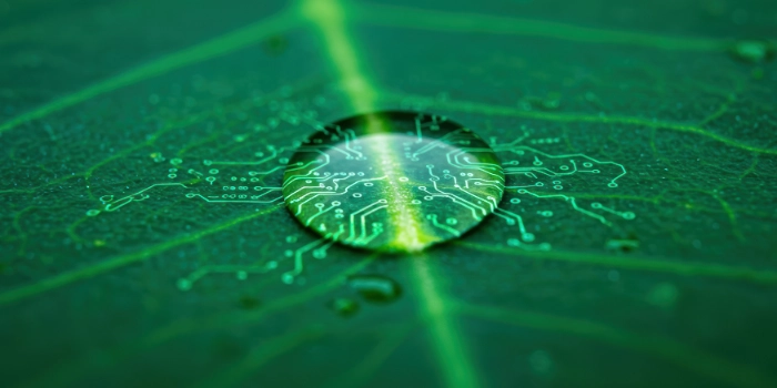 Digitalisierung und Nachhaltigkeit – Mehrwerte, Herausforderungen und Lösungsansätze