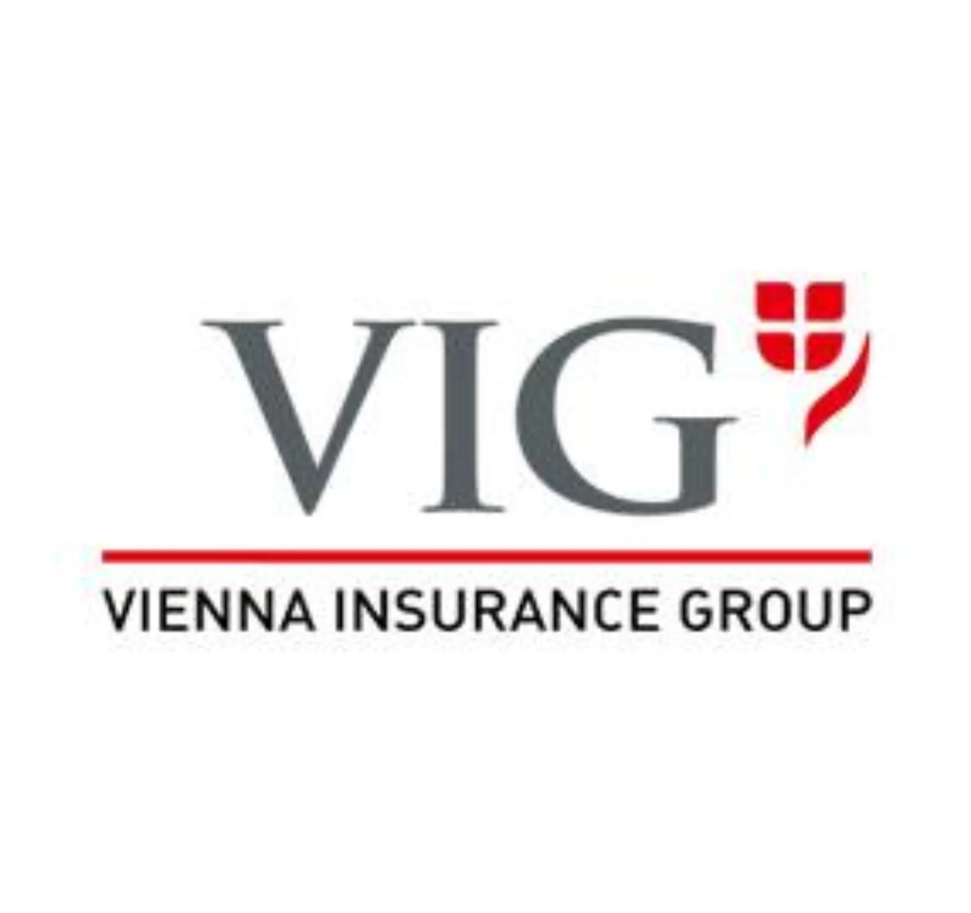VIG Logo