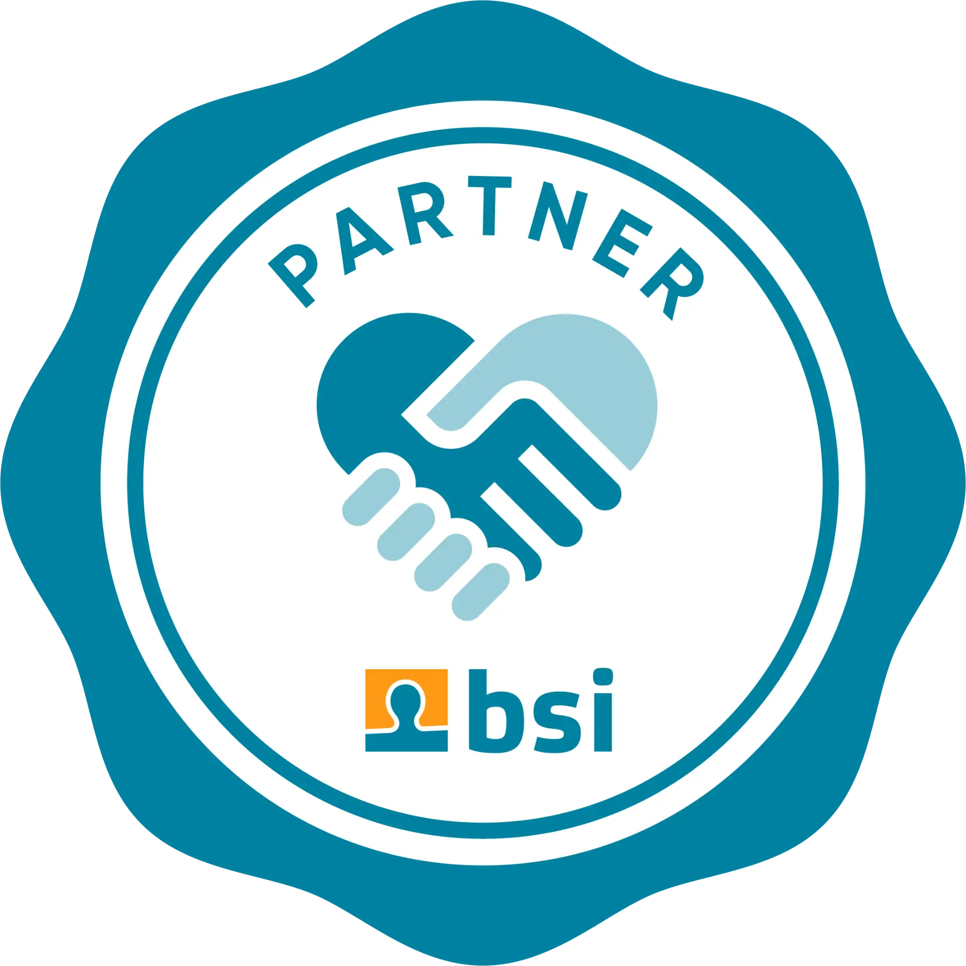 bsi Partner