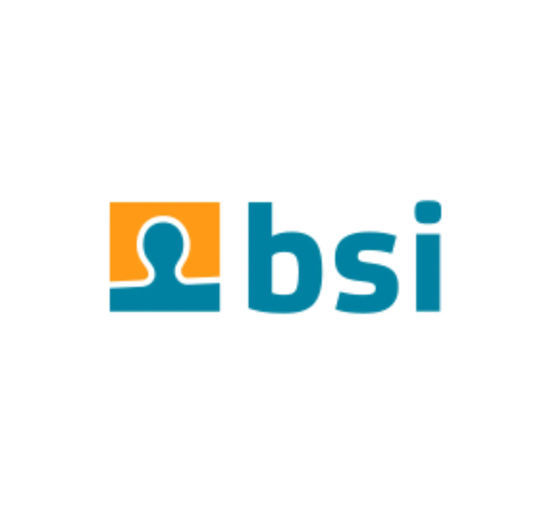 bsi_crm_logo