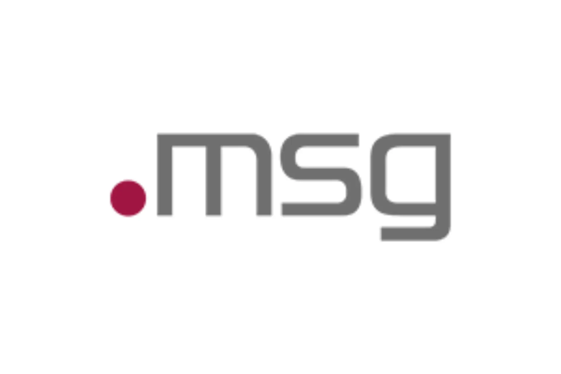 msg logo