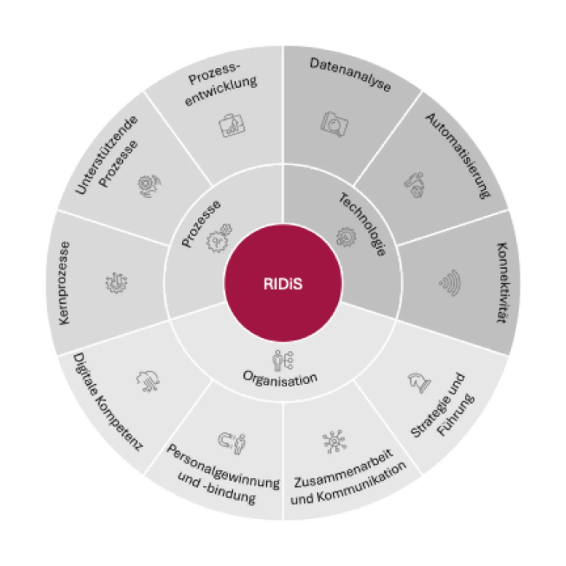 RIDis-Kreis – Handlungsfelder (eigene Darstellung)