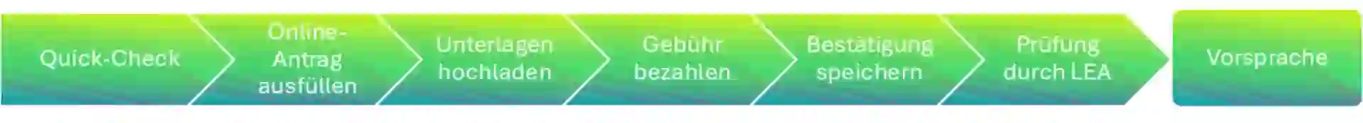 Prozessschritte des digitalen Einbürgerungsantrags in Berlin.