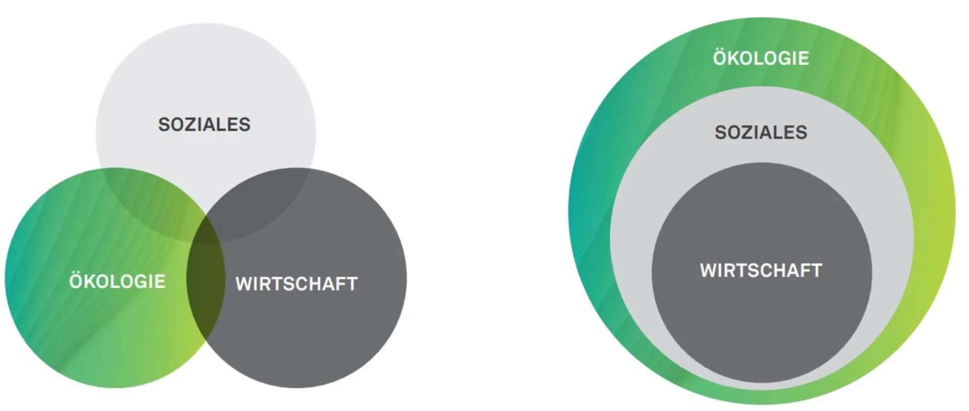 Wie Nachhaltigkeit zum nachhaltigen Thema wird Abbildung 2