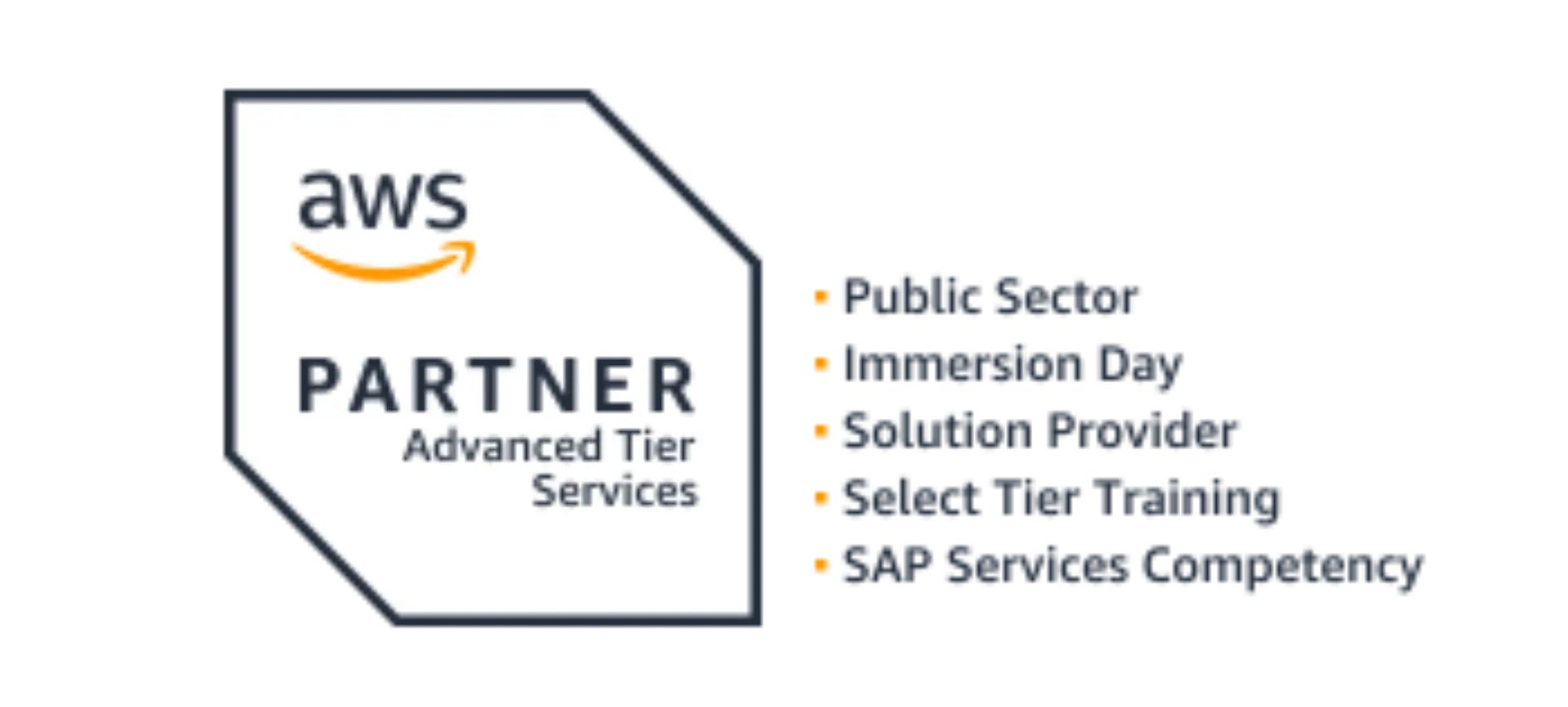 AWS Partner Badge Logo