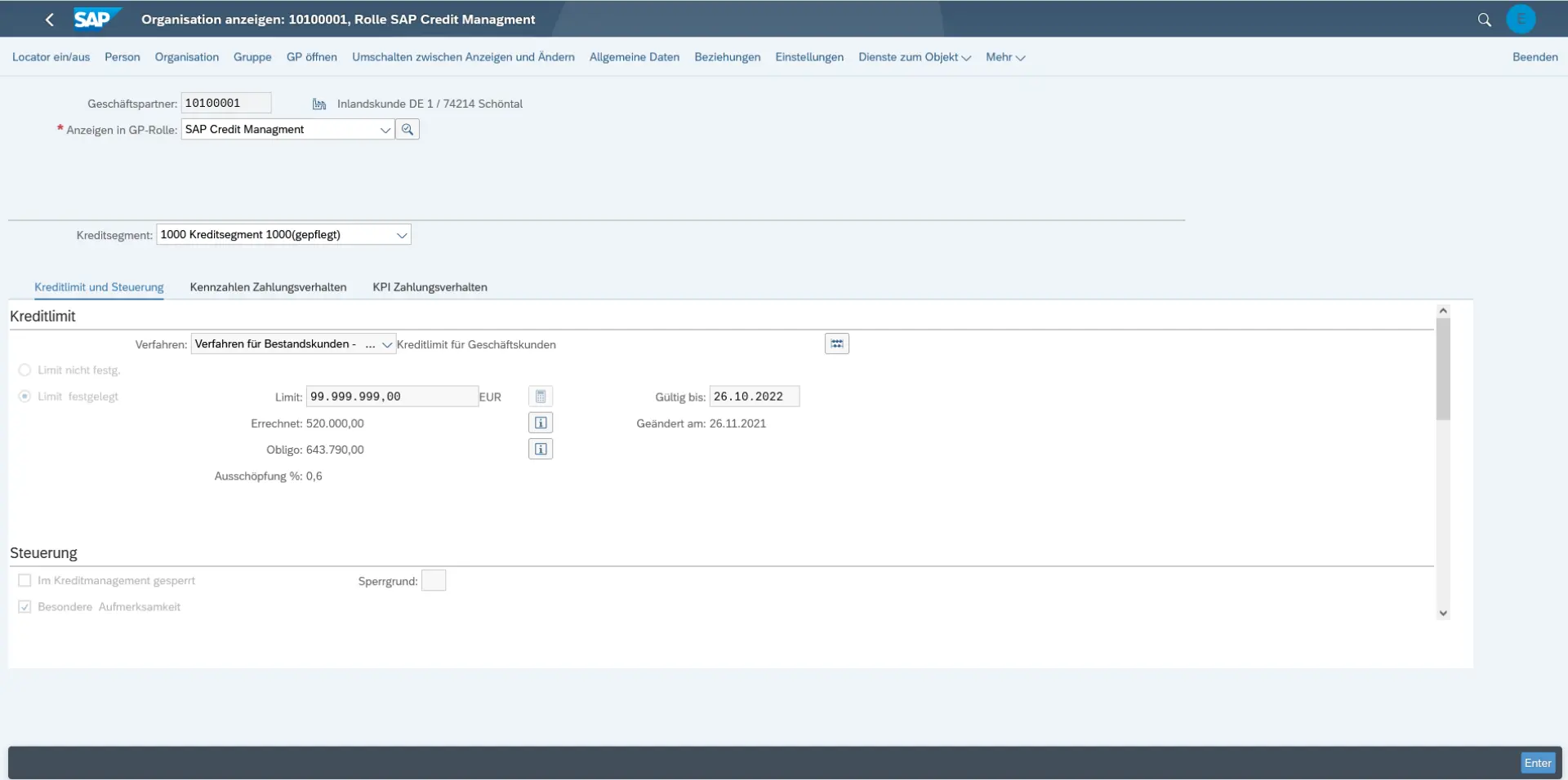In den Stammdaten der Geschäftspartner finden Sie alle für die Kreditentscheidung notwendigen Kreditinformationen.