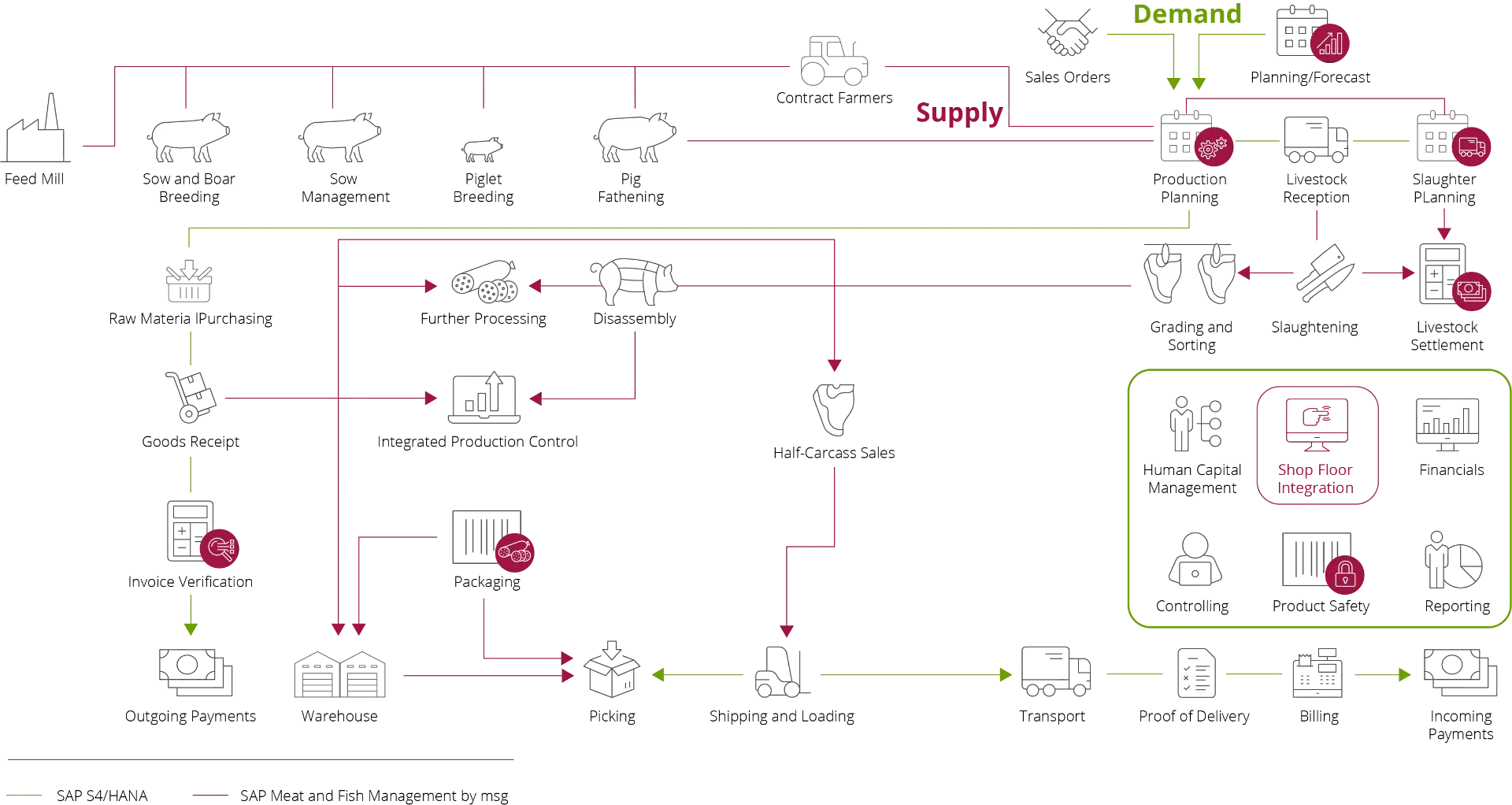 SAP Meat & Fish Management by msg Grafik: End-to-End Prozesse entlang der Wertschöpfungskette