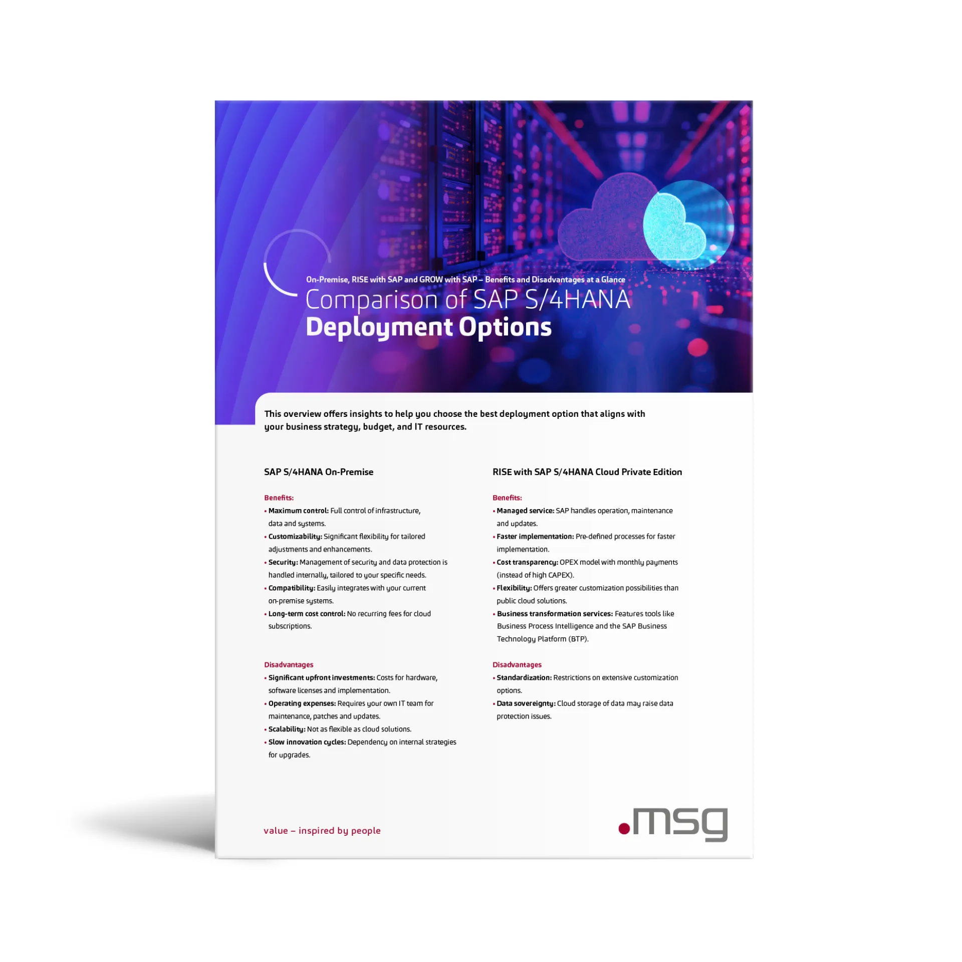 RISE Comparison of SAP S4HANA EN