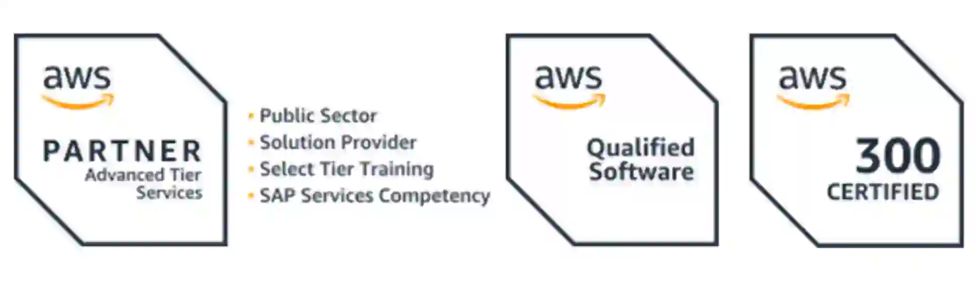 AWS ISV Accelerate Program Badge